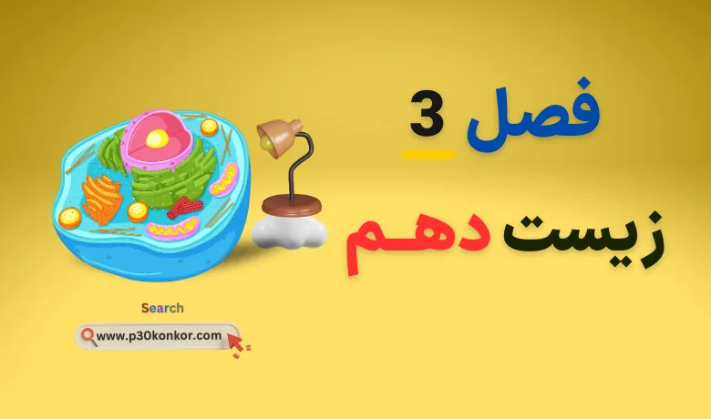 جزوه فصل سوم زیست دهم