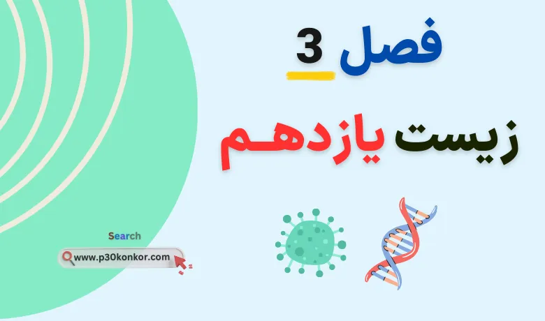 pdf جزوه فصل سوم زیست یازدهم
