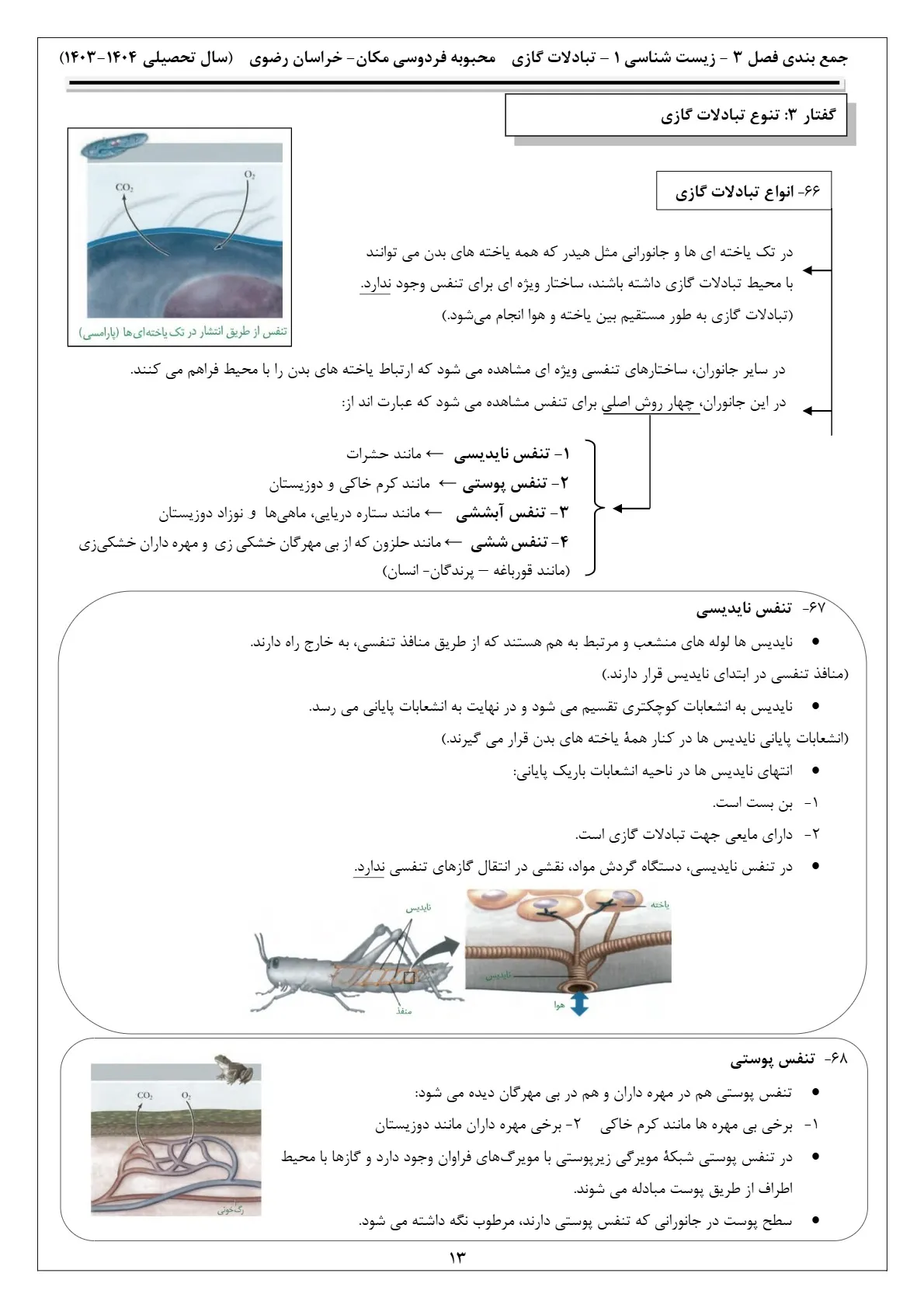 pdf جزوه فصل ۳ زیست دهم + جواب فعالیت ها (محبوبه فردوسی مکان)
