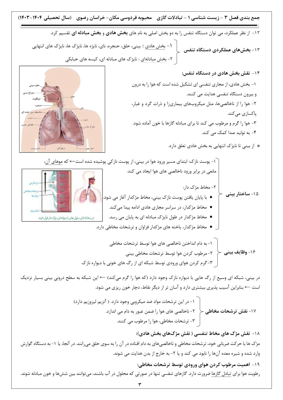 pdf جزوه فصل ۳ زیست دهم + جواب فعالیت ها (محبوبه فردوسی مکان)
