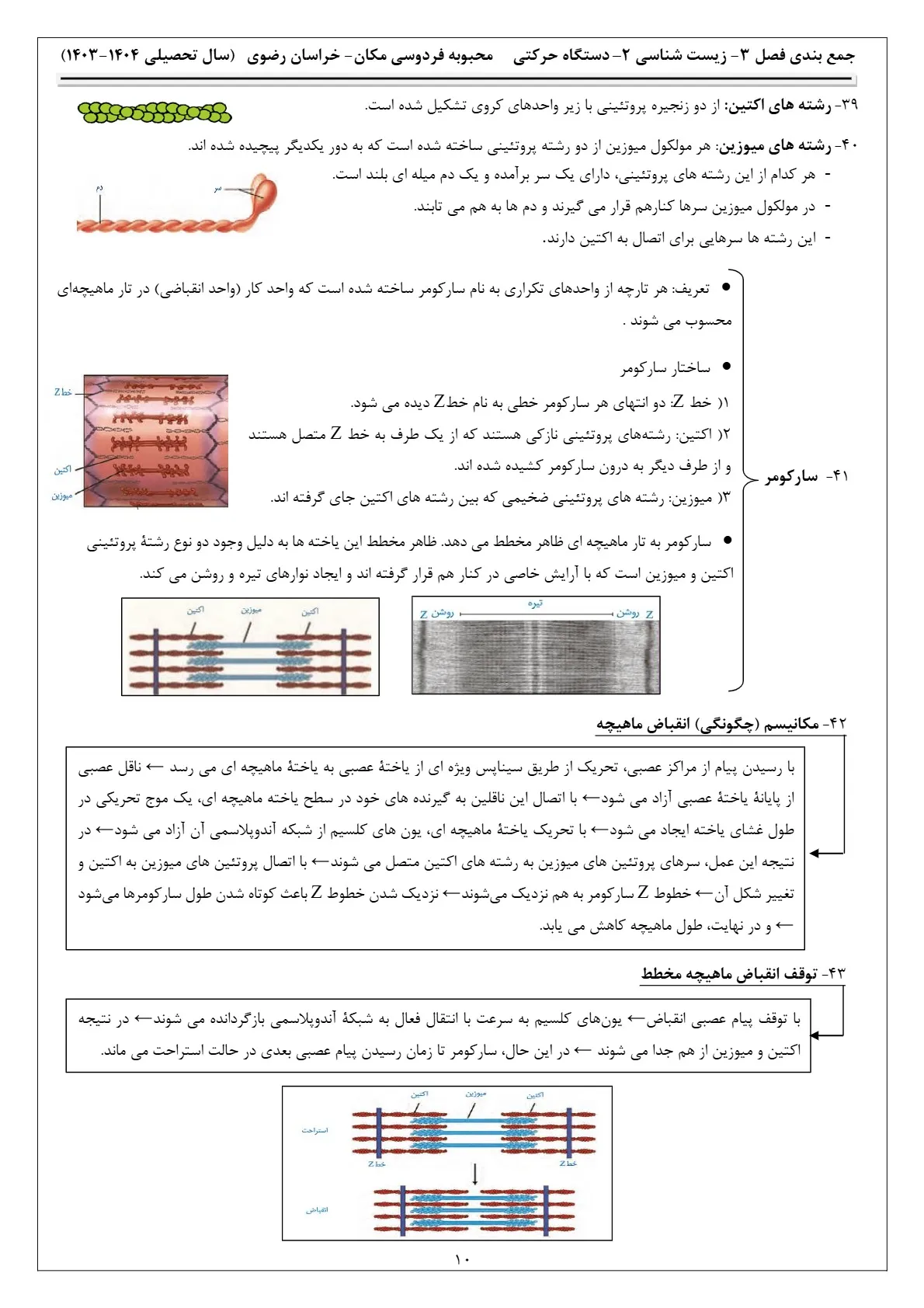 pdf جزوه فصل ۳ زیست یازدهم