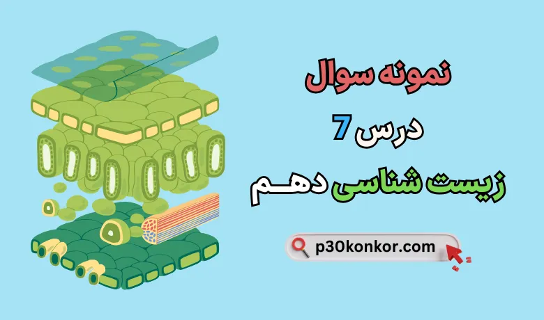 نمونه سوال فصل هفتم زیست دهم با جواب