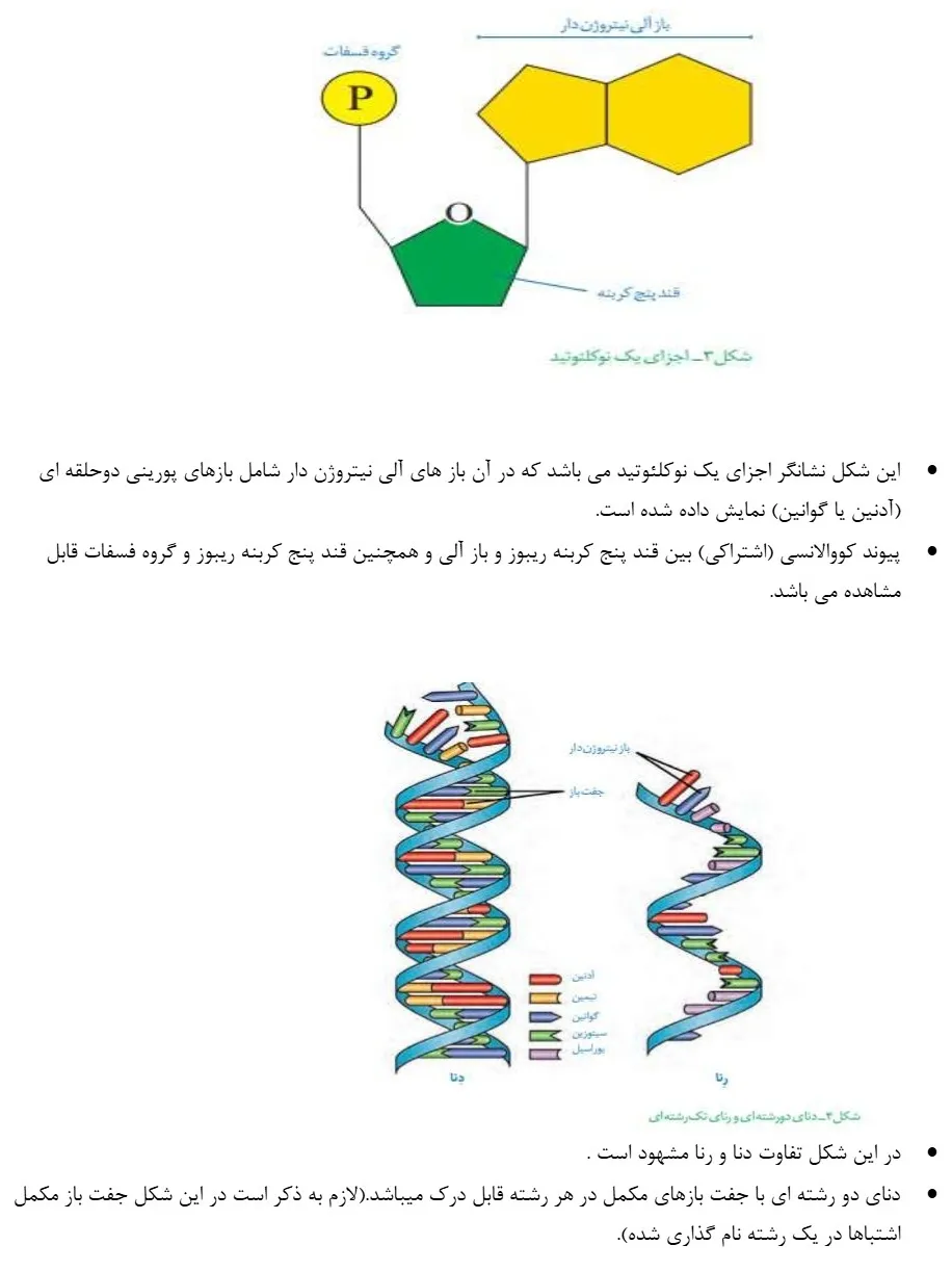جزوه نکات شکل های زیست دوازدهم 