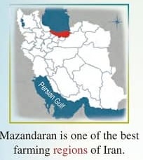 فایل صوتی لیسنینگ درس اول زبان انگلیسی یازدهم + متن و تلفظ (تمام قسمت ها)