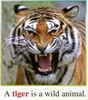 فایل صوتی لیسنینگ درس اول زبان انگلیسی دهم + متن و تلفظ (تمام قسمت ها)