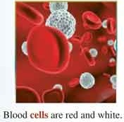 لیسنینگ درس 2 زبان دوازدهم (اشتراک)