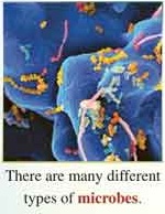 لیسنینگ درس 2 زبان دوازدهم (اشتراک)