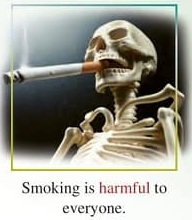 فایل صوتی لیسنینگ درس دوم زبان انگلیسی یازدهم + متن و تلفظ (تمام قسمت ها)