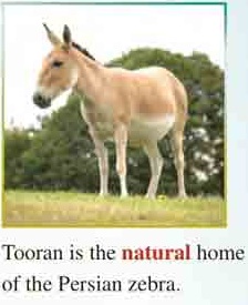 فایل صوتی لیسنینگ درس اول زبان انگلیسی دهم + متن و تلفظ (تمام قسمت ها)