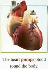 لیسنینگ درس 2 زبان دوازدهم (اشتراک)