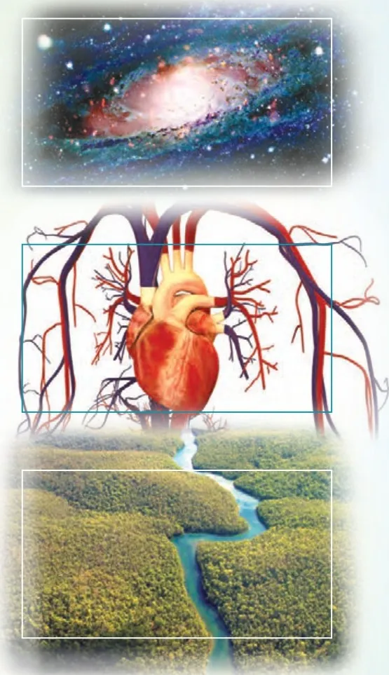 فایل صوتی لیسنینگ درس دوم زبان انگلیسی دهم + متن و تلفظ (تمام قسمت ها)